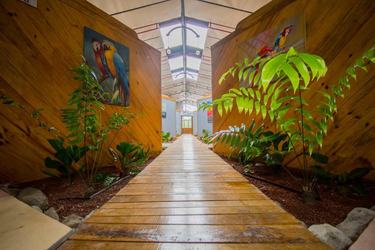 Hotel Hacienda Don Paolo San Vito Dış mekan fotoğraf
